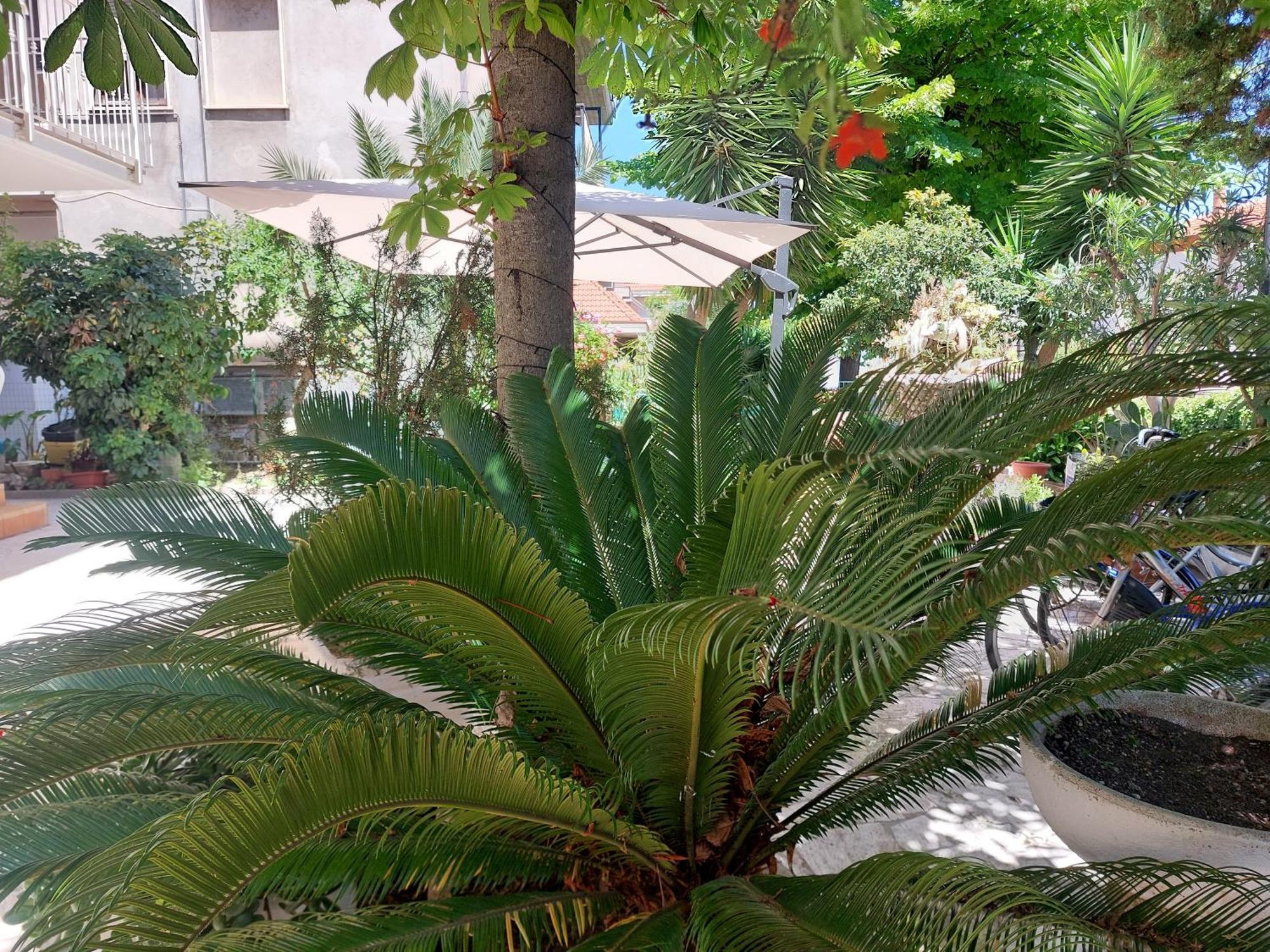 B&B La Fontanella San Benedetto del Tronto Eksteriør billede